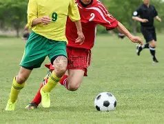 京甬大战阵,容揭晓,诺伊与杰曼,天天盈球足球比分网,体育官网,平台入口,足球比分,即时比分,比分直播