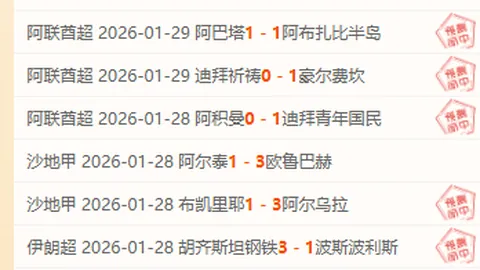 篮球盛宴：12胜8负背后的激战火花与数据谜团揭秘！