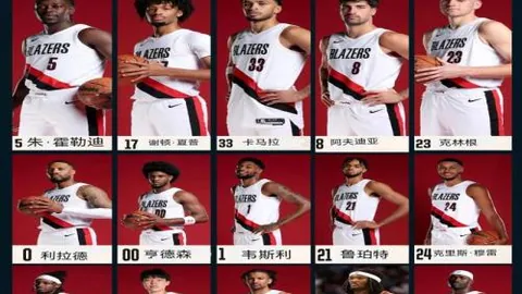 揭秘哈蘭德轉會費6000萬背后的原因